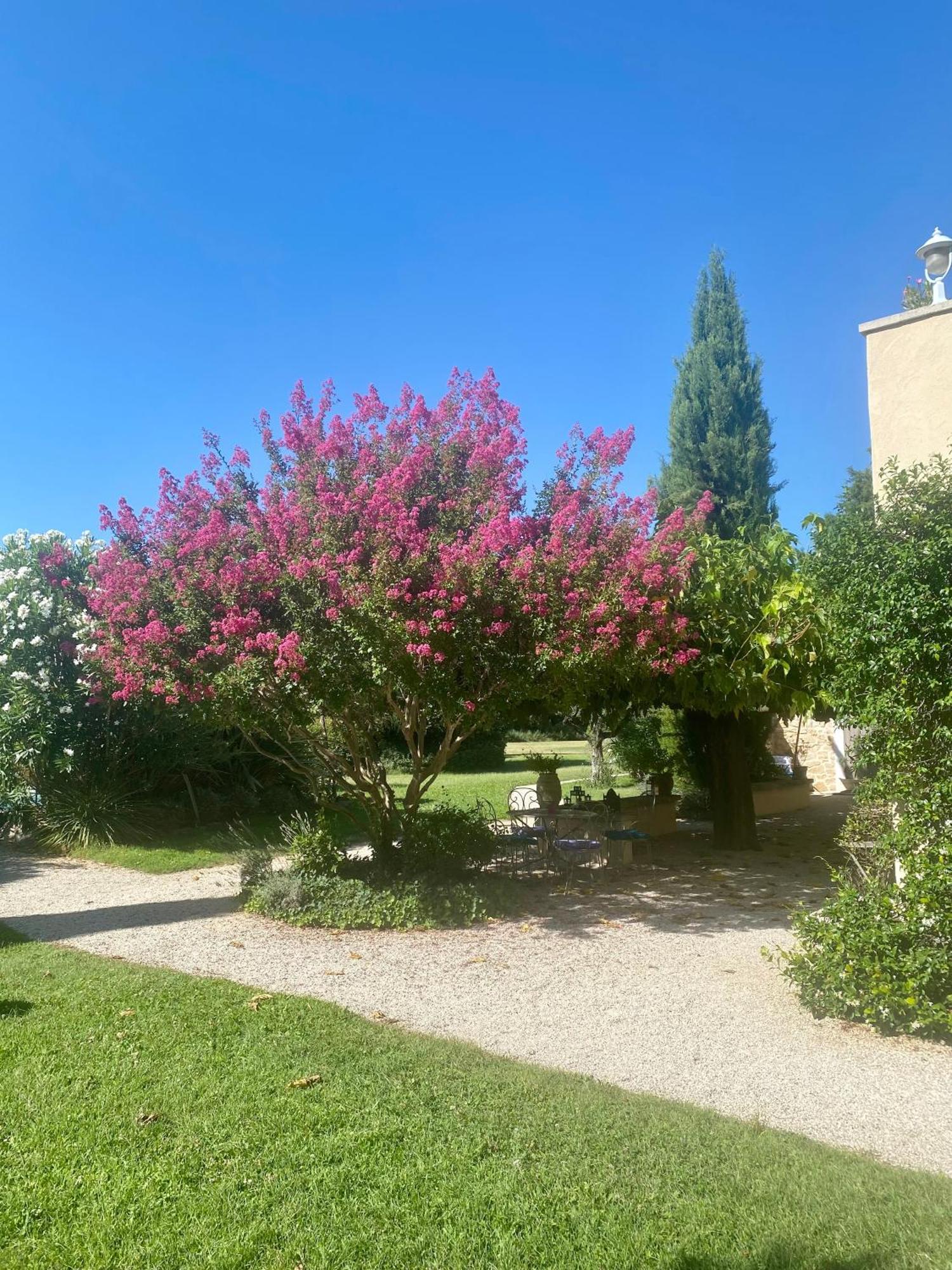 Bed and Breakfast Mas Les Fleurs D'Hilaire Монтё Экстерьер фото